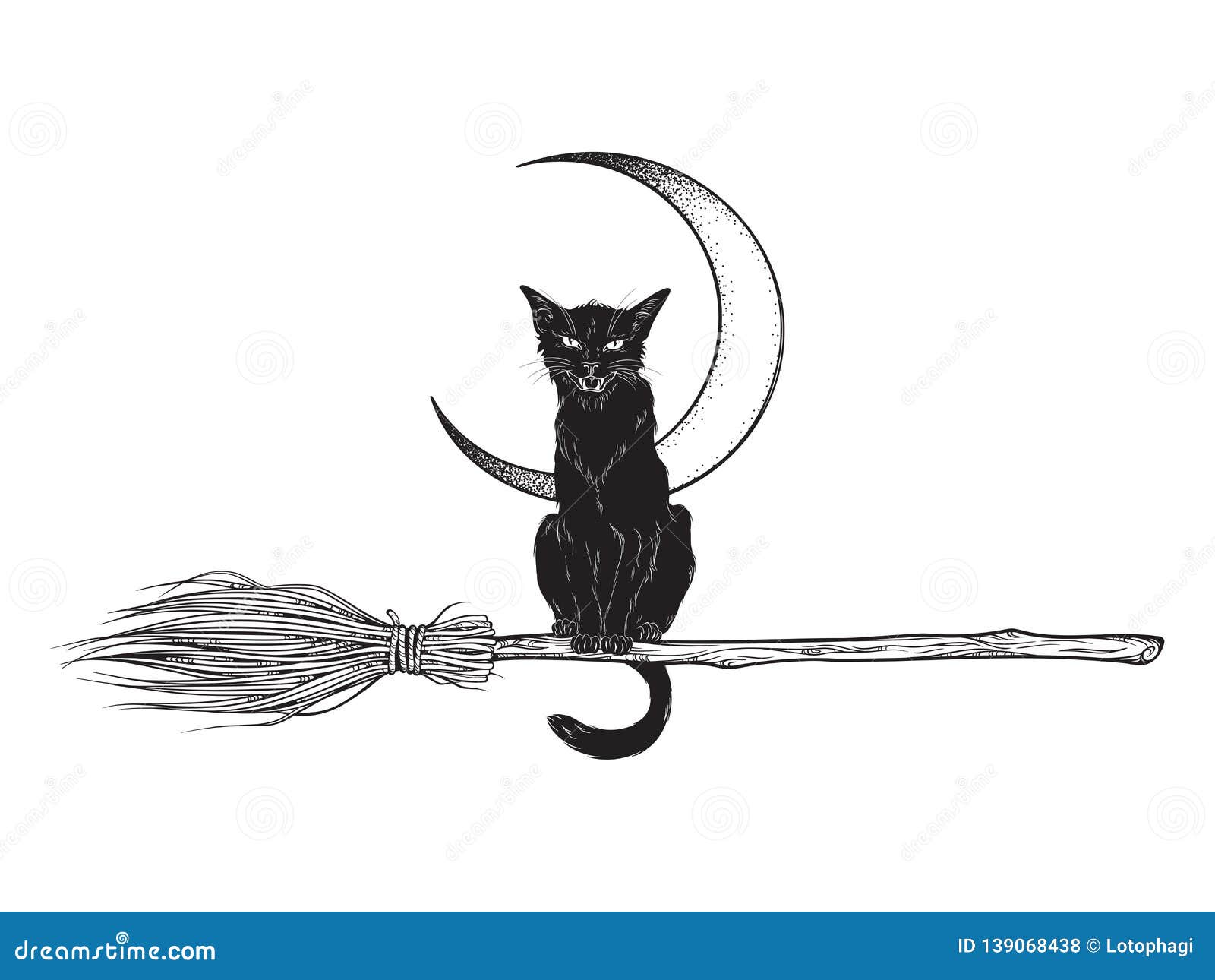 Ведьма на метле с котом